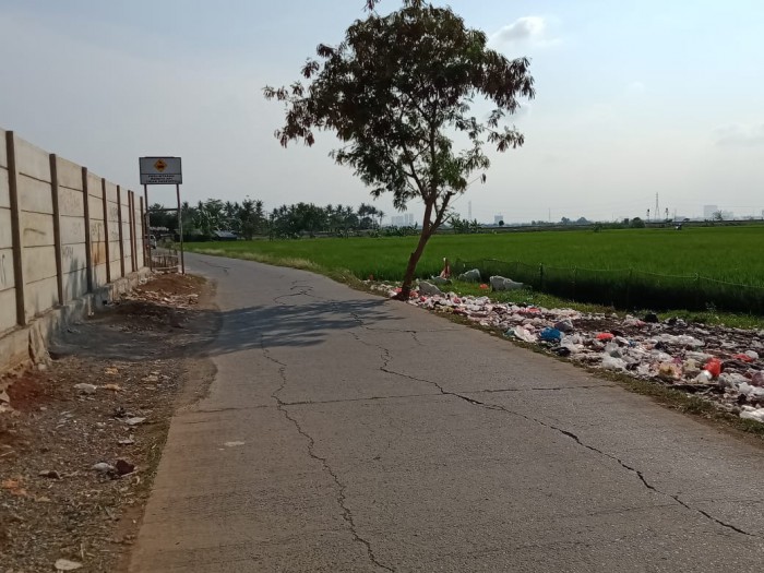 Tanah Sawah Dijual di Buni Asih Permai Cikarang